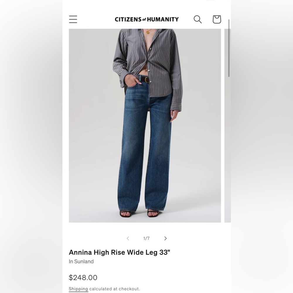 Citizens of Humanity Annina High Rise Wide Leg Jeans in Blue